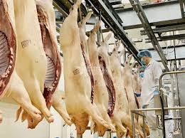 PTT Trịnh Đình Dũng: Giảm giá thịt lợn là trách nhiệm đảm bảo đời sống người dân và ổn định kinh tế vĩ mô (30/3/2020)